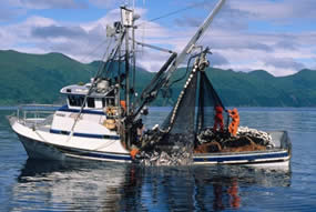 fishing boat deckhands photo
